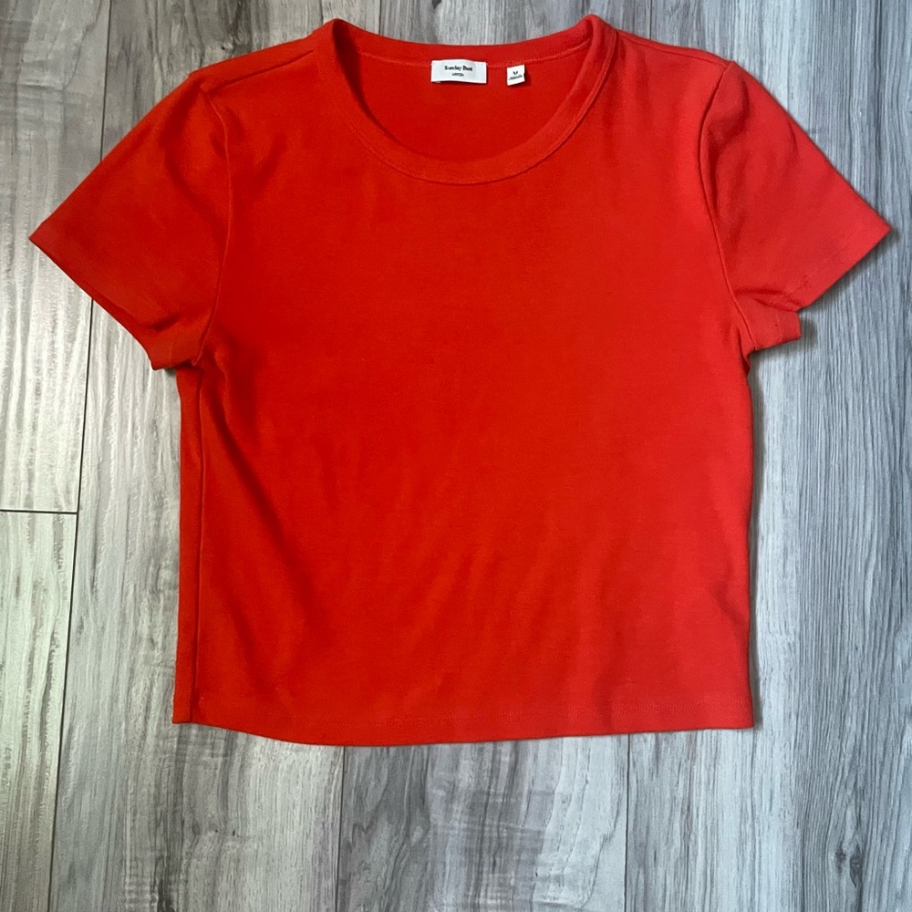 Aritzia Sunday Best Short Sleeve Tee